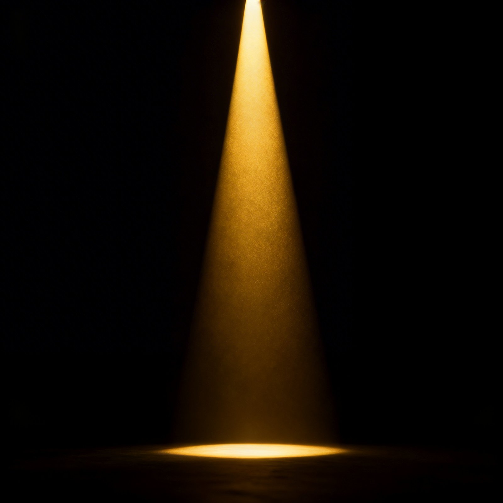 Personal Brand: Become the Name in Your Niche